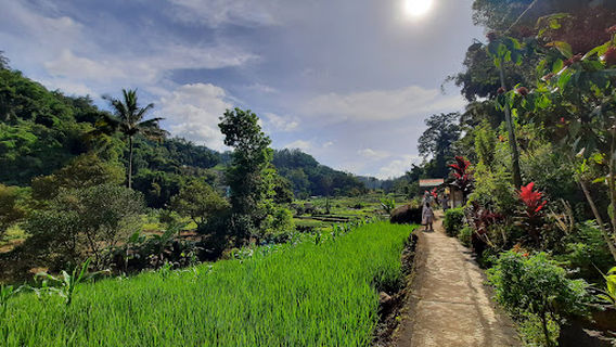 Grojogan Sewu Waterfall