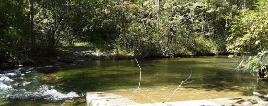 Frozen Creek Rd.Access - Gorges State Park
