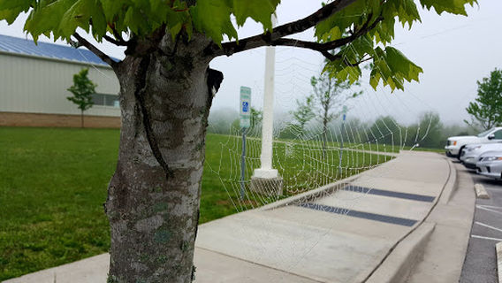 Twin Lakes Family Wellness Center