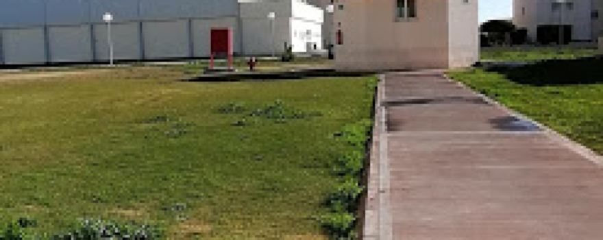 Almarai PPP Basket Ball Court