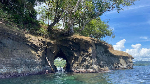 Kayaks Punta Uva