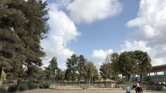 Gonbad Kavous Racecourse