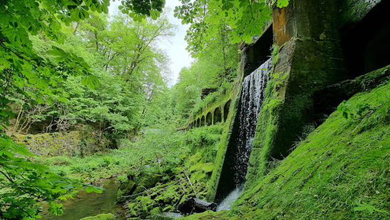 Richard-Wagner-Denkmal im Liebethaler Grund