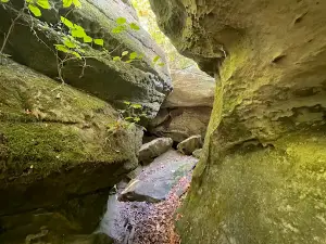 Devil’s Standtable Nature Trail
