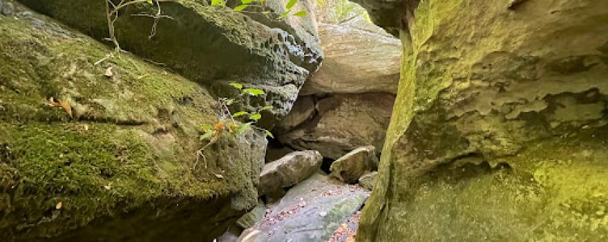 Devil’s Standtable Nature Trail