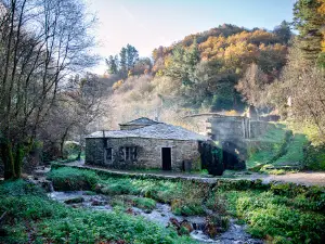 Mazo de Mazonovo