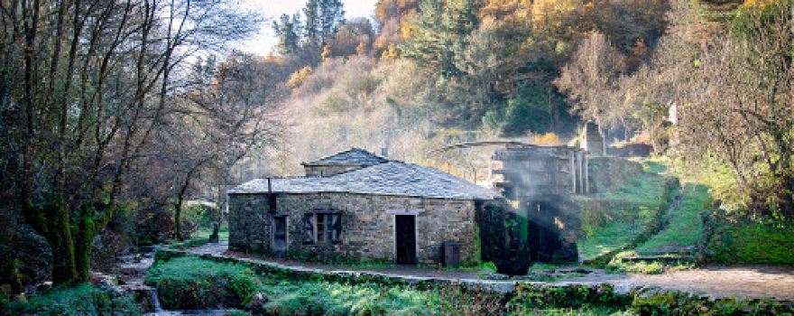 Mazo de Mazonovo