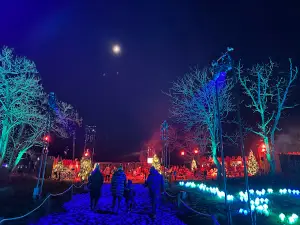 Harry Potter: A Forbidden Forest Experience - Leesburg