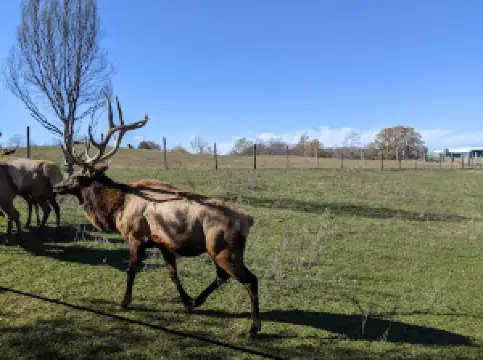 제스터 파크 네츄럴 플레이스케이프