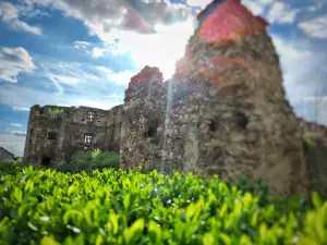 Castelul Lónyai