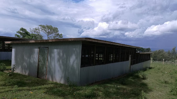 MMUST Botanical Garden