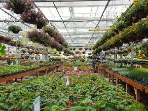 Meadow View Growers