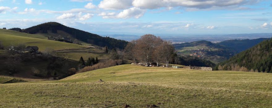 Läufer Reiseservice