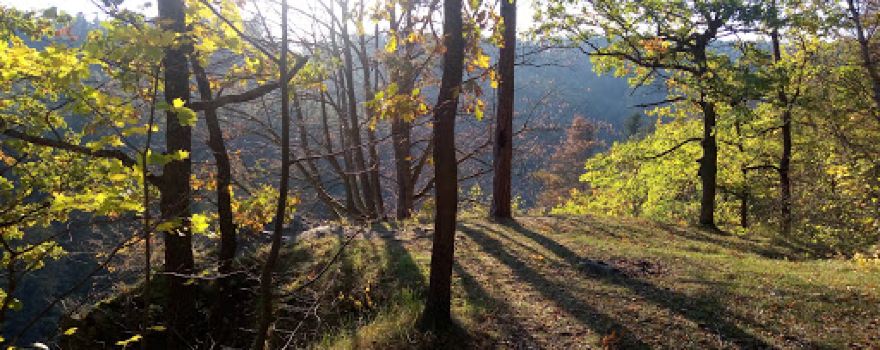 Castle ruins Maškovec