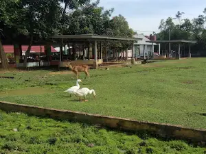 taman kehati