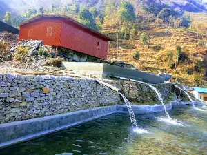 Everest Tea Garden