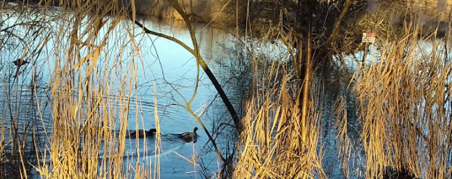 Aire De Jeux De L Etang Des Aisses