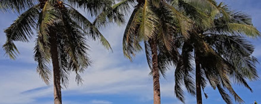 Borongkot Beach