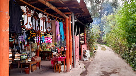 Garden of Hydrangeas