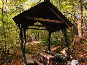 Bazalt utca - Buruczky Ferenc (Kovácsi-hegy) Tanösvény