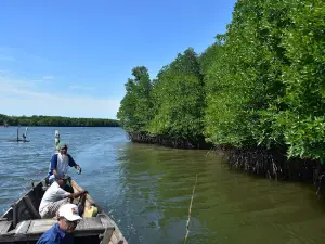 Mangrove tour Lubuk Kertang