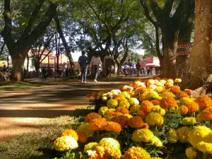 Freedom Square