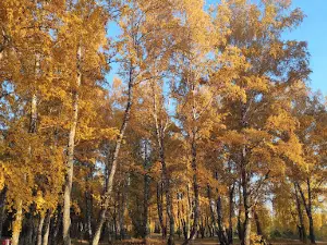 Лесопарк имени Ю. А. Гагарина