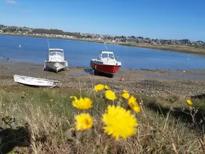 Camping Municipal Ernest Renan