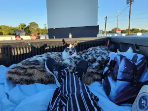 Valle Drive In