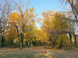 Camping, Sereď