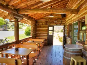 Camping Artaza Urederra