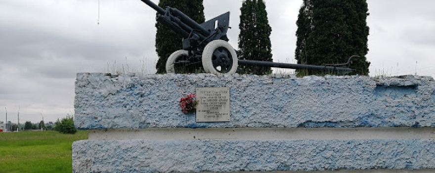 Stela G. Sevsk