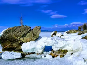 Камень - Черепаха