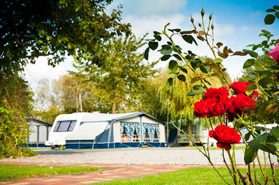 Vale of Pickering Caravan Park