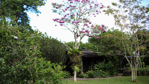 Kahaluu
