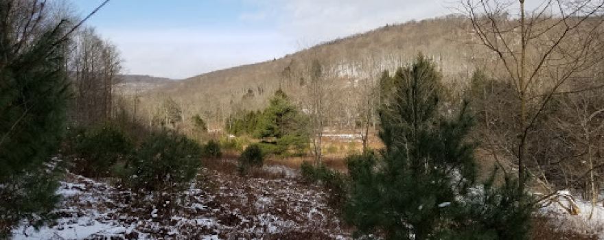 State Game Lands Number 82