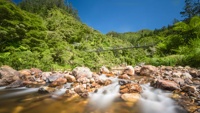 Karangahake gorge
