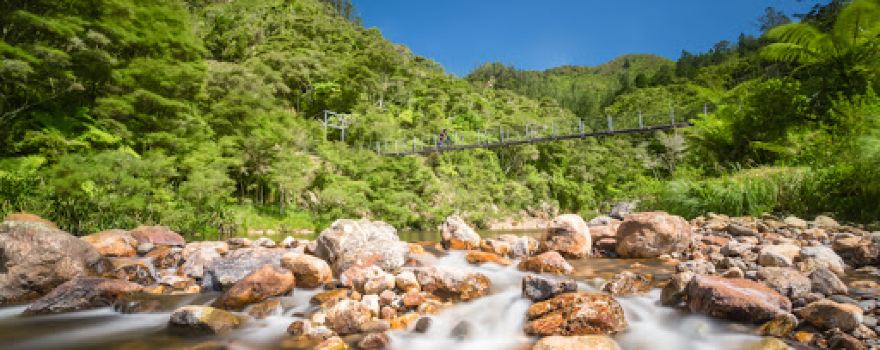 Karangahake gorge