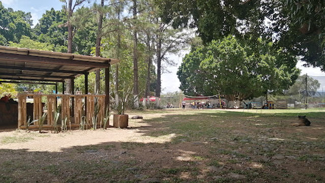 Gotcha Los Soles Rancho Solís