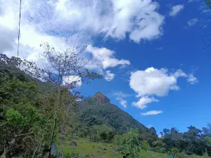 Botanical Garden