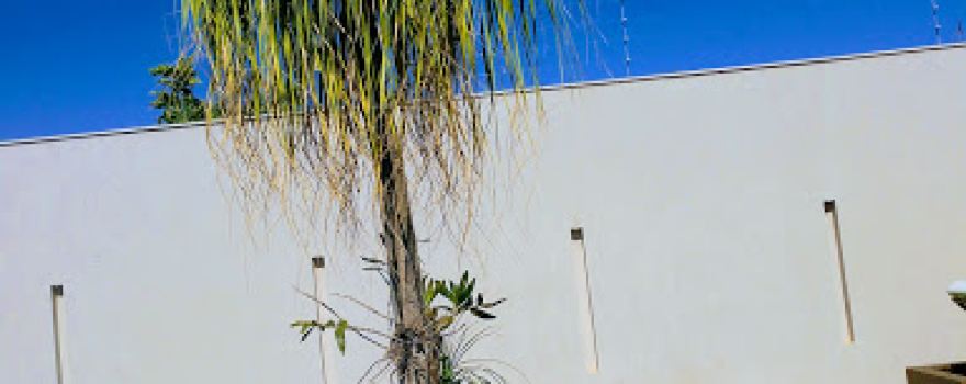 Praça Dr. Ciro de Campos Cordeiro