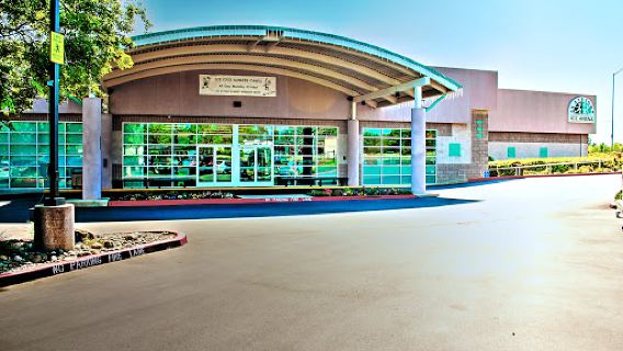 Skatetown Ice Arena