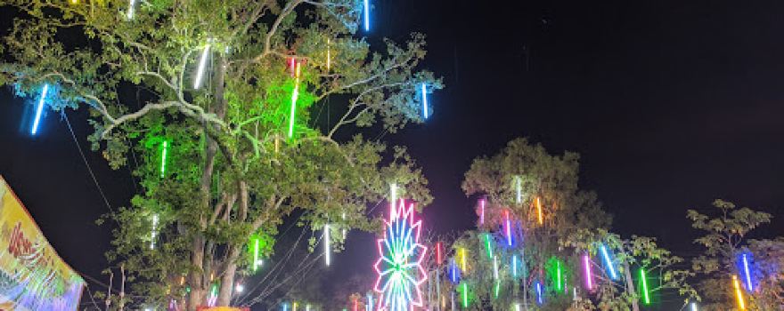Wat Nong Hua Pluak