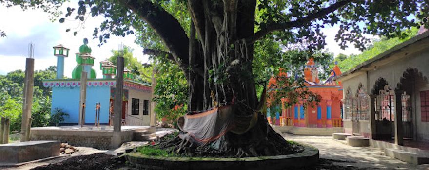 Betanga Maha Shamshan-বেতাঙ্গা মহাশ্মশান