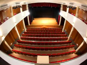 Culture House