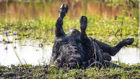 Akagera Community Centre