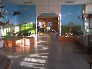 Borzinskiy district Museum