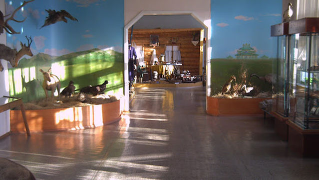 Borzinskiy district Museum