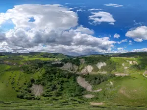 Salt Hill Nature Reserve