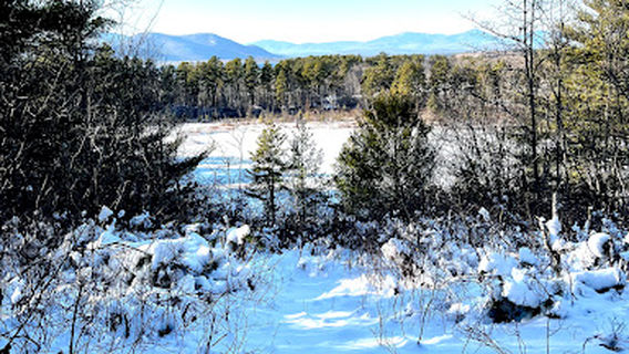 Constitution Park Ossipee